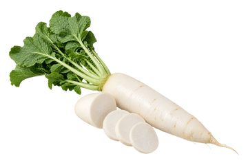 Radish